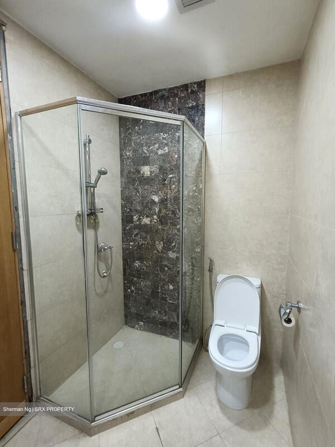 The Tessarina (D10), Condominium #496348731